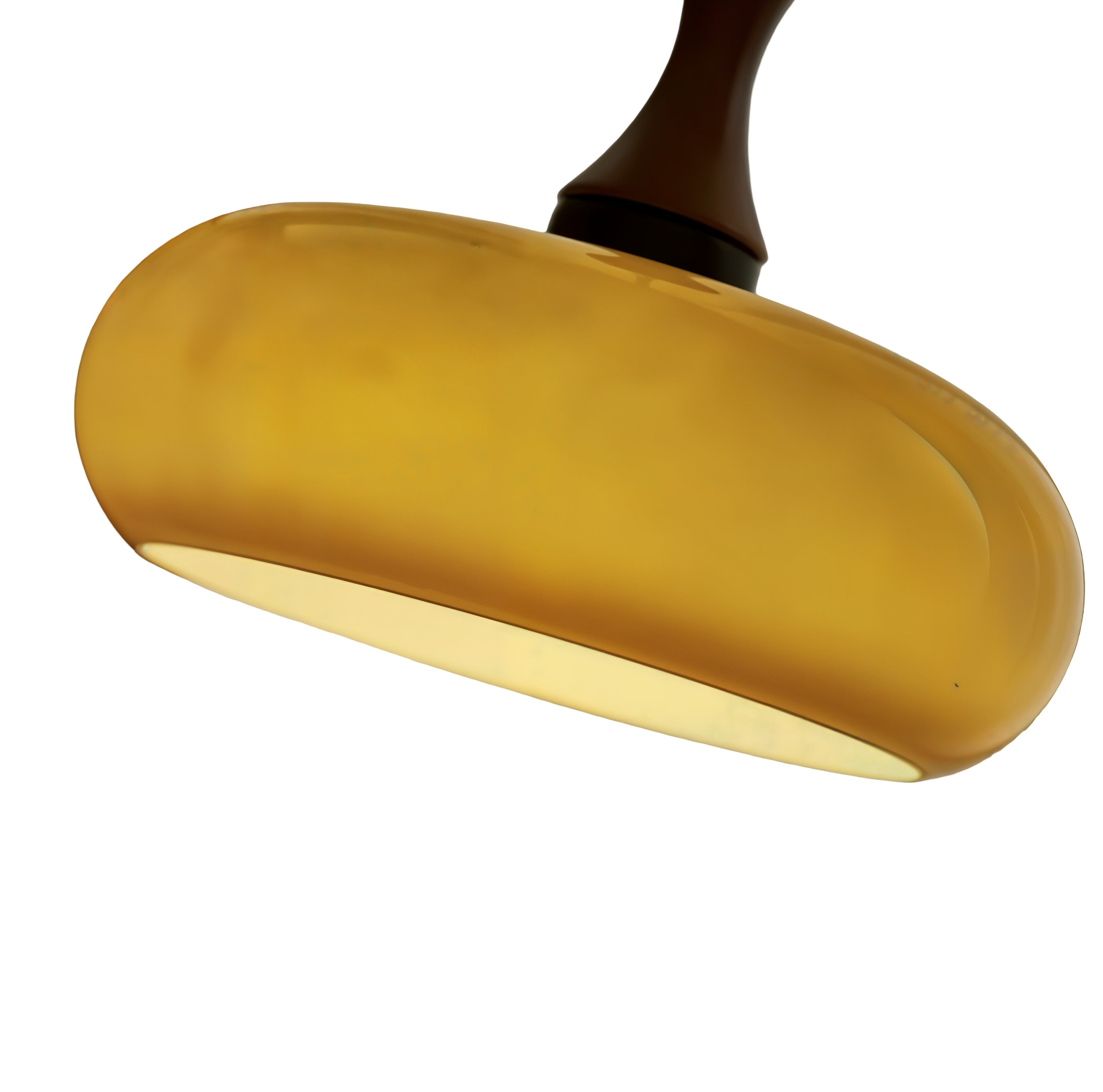 Bulbous Shade Hanging Pendant Lamp