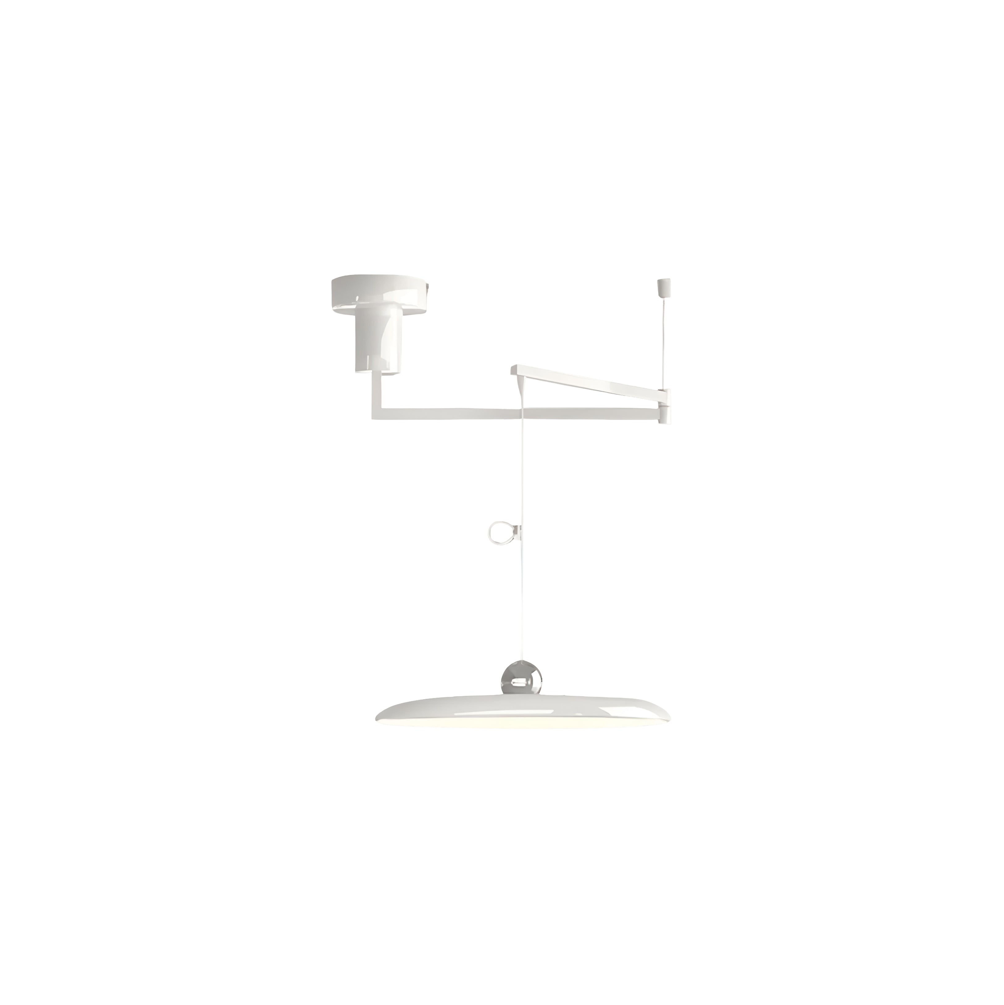 Adjustable Counterweight Pendant Light - Track System