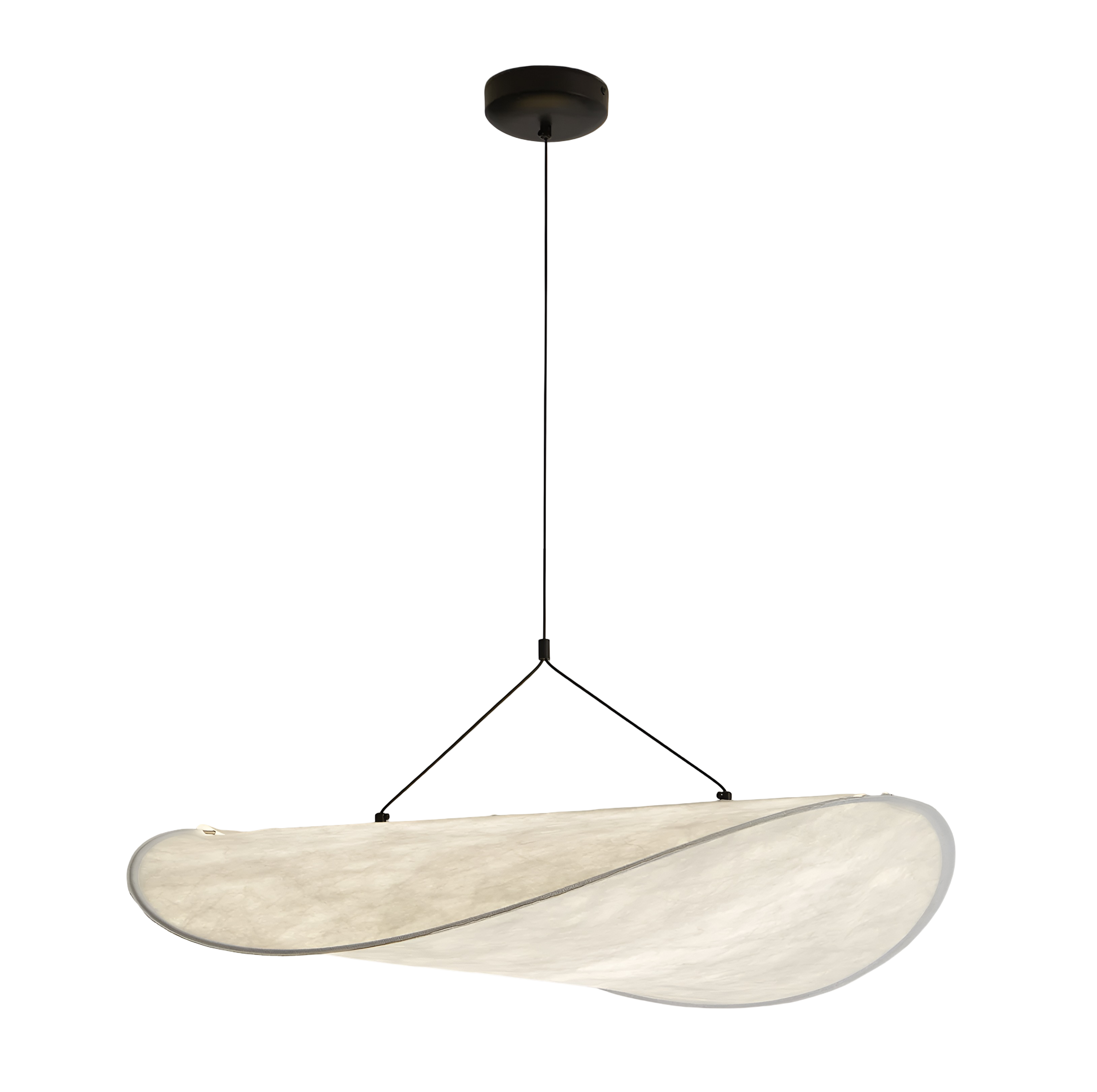 Organic Wing Pendant Light - Sculptural Curved Hanging Light with Cable Suspension