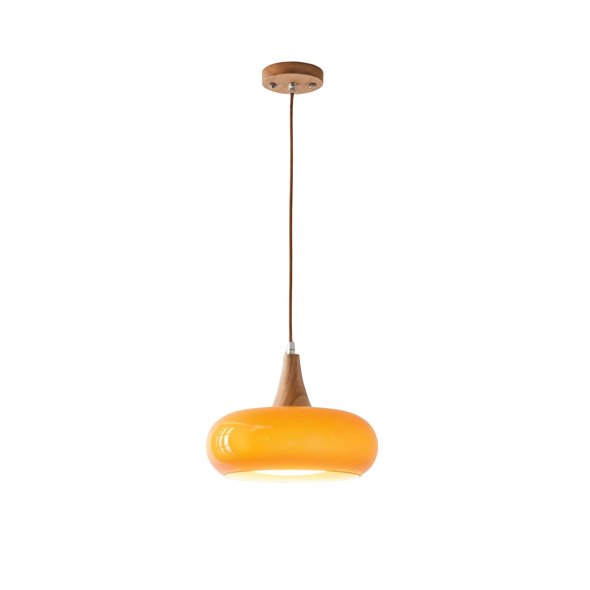 Modern Glass Bowl Shade Hanging Pendant Lamp